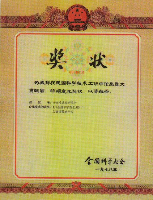 VSport-成功因您更杰出