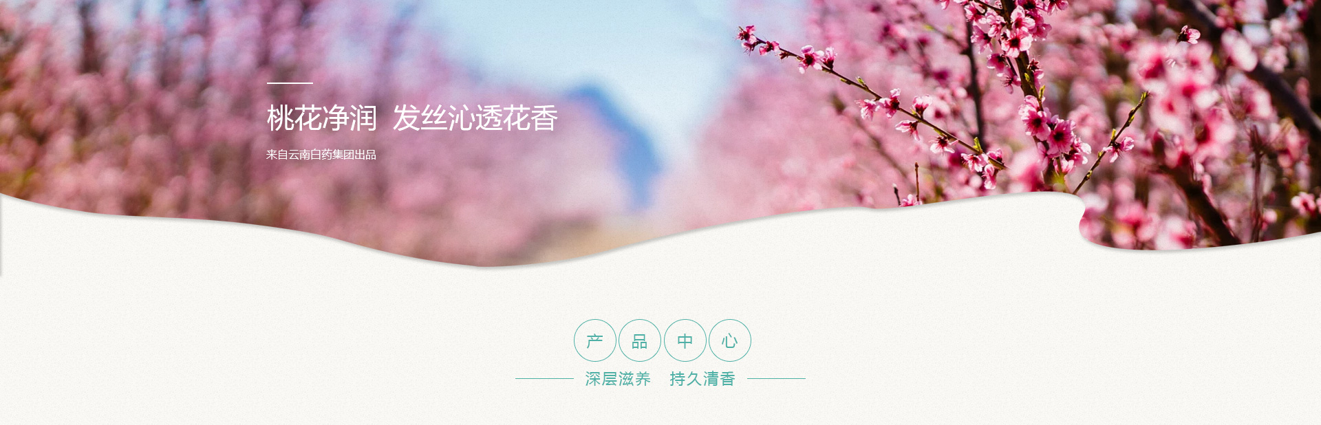 VSport-成功因您更杰出